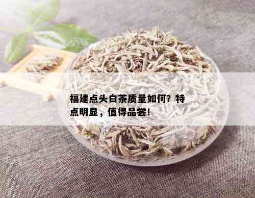 福建点头白茶质量如何？特点明显，值得品尝！