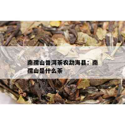 南孺山普洱茶农勐海县：南孺山是什么茶