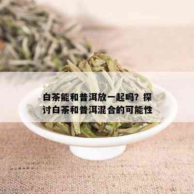 白茶能和普洱放一起吗？探讨白茶和普洱混合的可能性