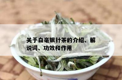 关于白毫银针茶的介绍、解说词、功效和作用