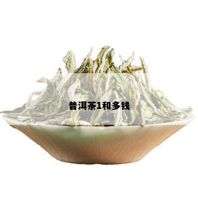 普洱茶1和多钱