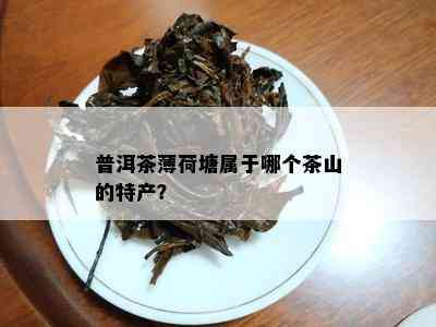 普洱茶薄荷塘属于哪个茶山的特产？