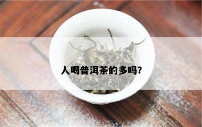 人喝普洱茶的多吗？