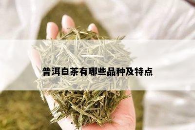 普洱白茶有哪些品种及特点