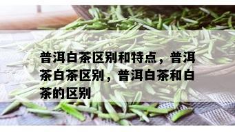 普洱白茶区别和特点，普洱茶白茶区别，普洱白茶和白茶的区别