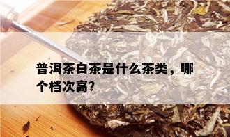 普洱茶白茶是什么茶类，哪个档次高？