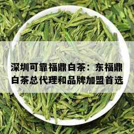 深圳可靠福鼎白茶：东福鼎白茶总代理和品牌加盟首选