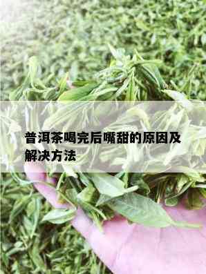 普洱茶喝完后嘴甜的原因及解决方法