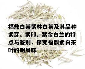 福鼎白茶紫林白茶及其品种紫芽、紫印、紫金白兰的特点与鉴别，探究福鼎紫白茶叶的明风味