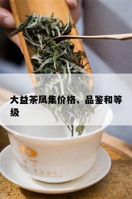 大益茶凤集价格、品鉴和等级