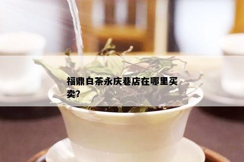 福鼎白茶永庆巷店在哪里买卖？