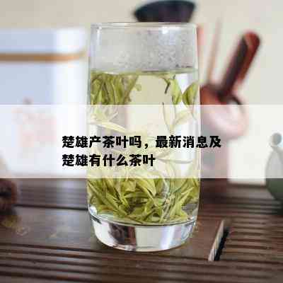 楚雄产茶叶吗，最新消息及楚雄有什么茶叶