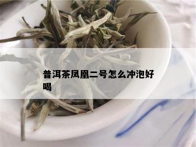 普洱茶凤凰二号怎么冲泡好喝