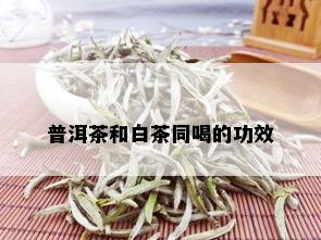 普洱茶和白茶同喝的功效