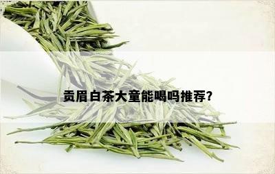 贡眉白茶大童能喝吗推荐？