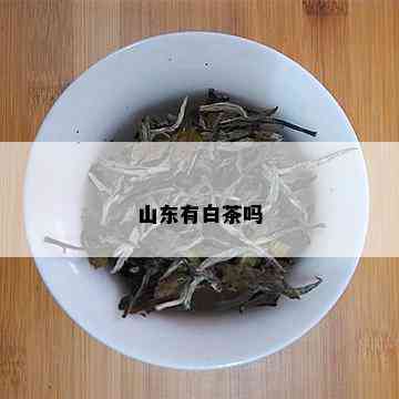 山东有白茶吗