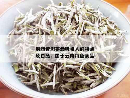 磨烈普洱茶最吸引人的特点及口感，属于云南特色茶品