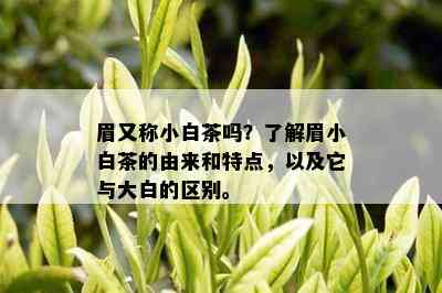 眉又称小白茶吗？了解眉小白茶的由来和特点，以及它与大白的区别。