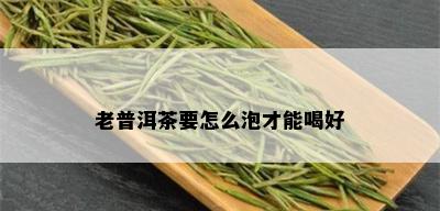 老普洱茶要怎么泡才能喝好