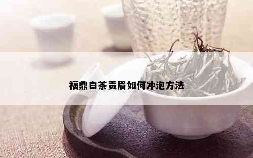 福鼎白茶贡眉如何冲泡方法