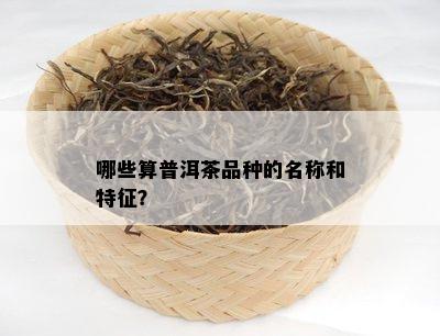 哪些算普洱茶品种的名称和特征？