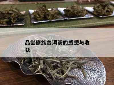 品尝傣族普洱茶的感想与收获