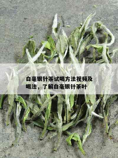 白毫银针茶试喝方法视频及喝法，了解白毫银针茶叶