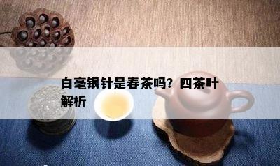 白毫银针是春茶吗？四茶叶解析