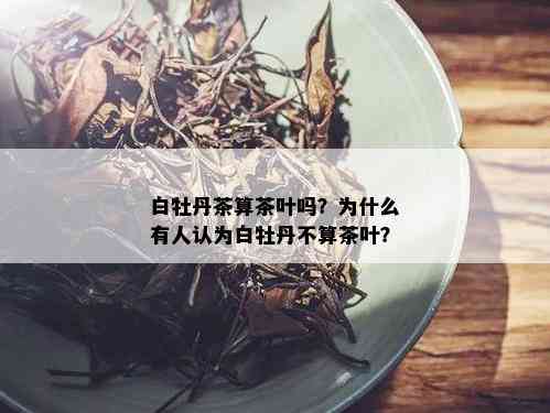 白牡丹茶算茶叶吗？为什么有人认为白牡丹不算茶叶？