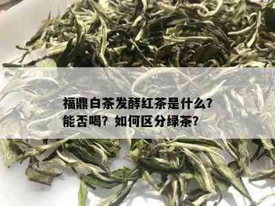 福鼎白茶发酵红茶是什么？能否喝？如何区分绿茶？