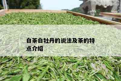 白茶白牡丹的说法及茶的特点介绍