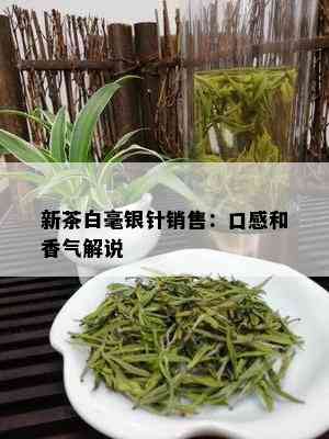 新茶白毫银针销售：口感和香气解说