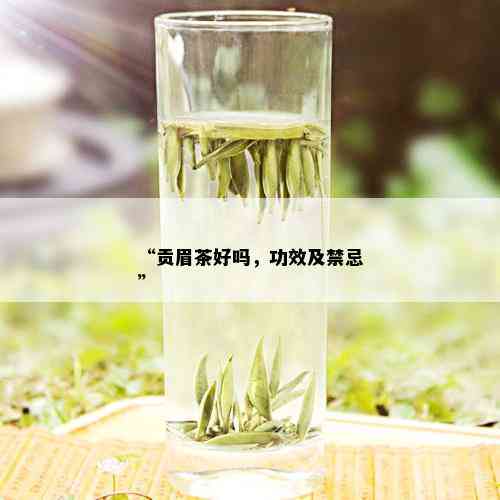 “贡眉茶好吗，功效及禁忌”