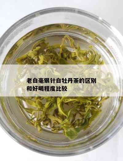 老白毫银针白牡丹茶的区别和好喝程度比较