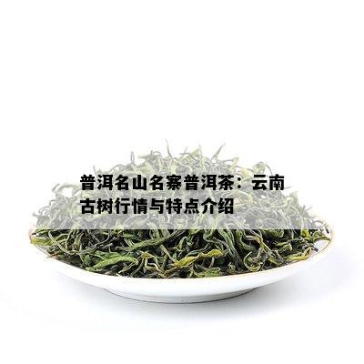 普洱名山名寨普洱茶：云南古树行情与特点介绍