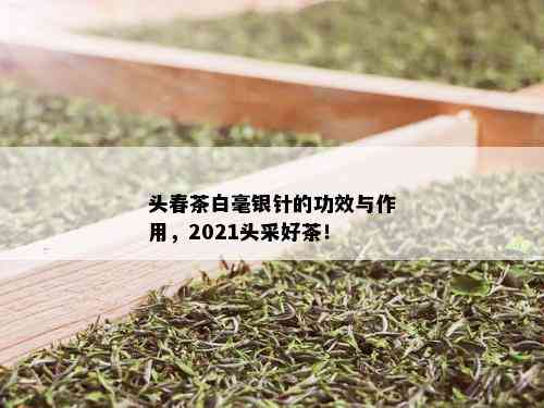 头春茶白毫银针的功效与作用，2021头采好茶！