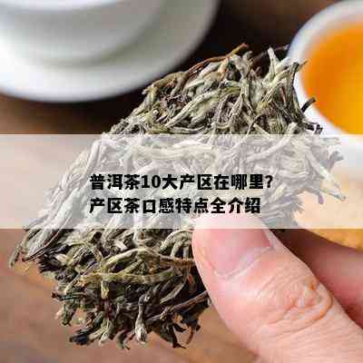 普洱茶10大产区在哪里？产区茶口感特点全介绍