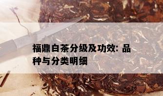 福鼎白茶分级及功效: 品种与分类明细