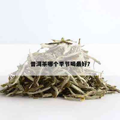 普洱茶哪个季节喝更好？