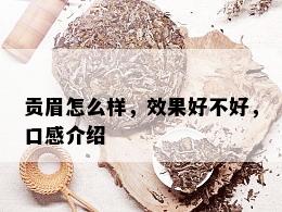 贡眉怎么样，效果好不好，口感介绍