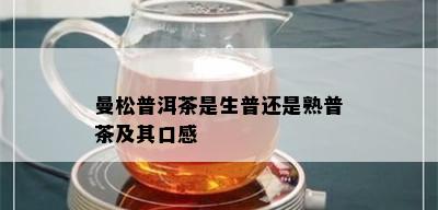 曼松普洱茶是生普还是熟普茶及其口感