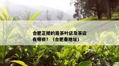 合肥正规的眉茶叶店及茶店有哪些？（合肥春地址）