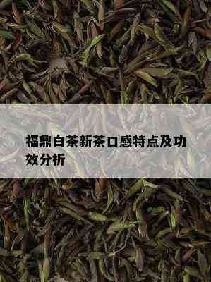 福鼎白茶新茶口感特点及功效分析