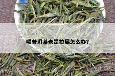 喝普洱茶老是拉屎怎么办？