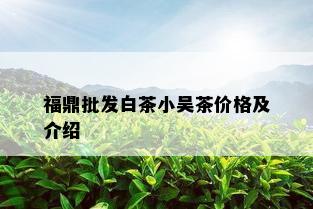 福鼎批发白茶小吴茶价格及介绍