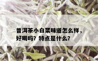 普洱茶小白菜味道怎么样，好喝吗？特点是什么？