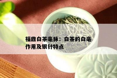 福鼎白茶毫脉：白茶的白毫作用及银针特点