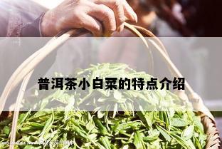 普洱茶小白菜的特点介绍