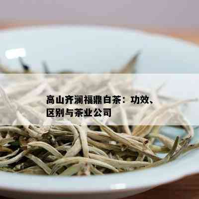 高山齐澜福鼎白茶：功效、区别与茶业公司