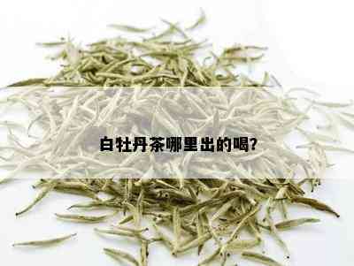 白牡丹茶哪里出的喝？